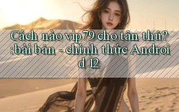 Cách nào vip79 cho tân thủ bài bản   chính thức Android 12