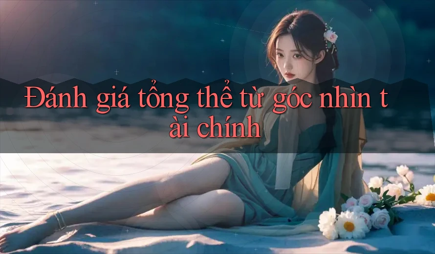 Đánh giá tổng thể từ góc nhìn tài chính Đánh giá tổng thể từ góc nhìn tài chính