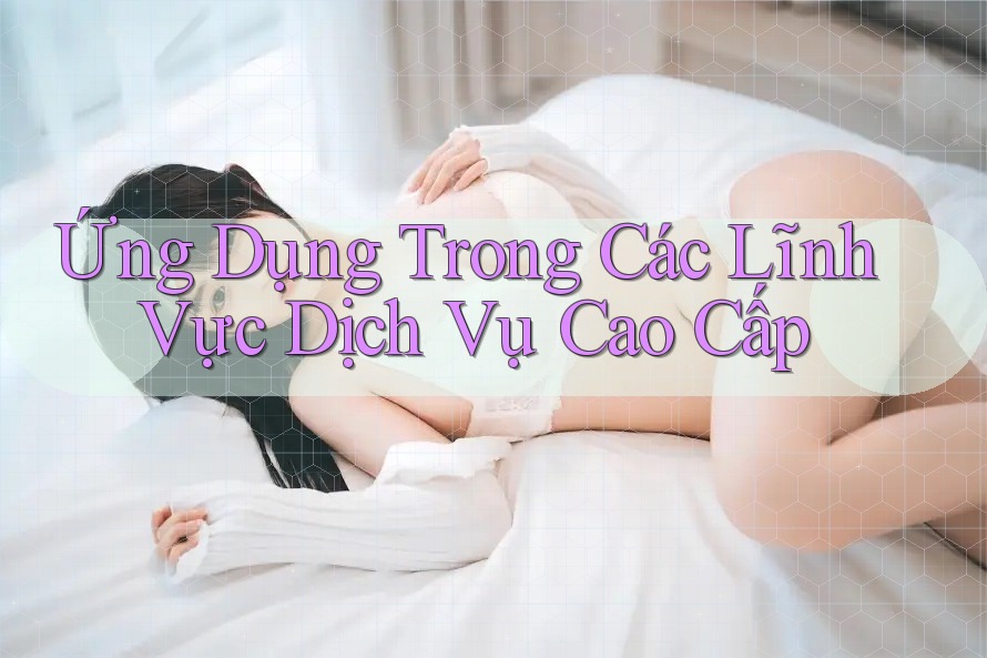 Ứng Dụng Trong Các Lĩnh Vực Dịch Vụ Cao Cấp Ứng Dụng Trong Các Lĩnh Vực Dịch Vụ Cao Cấp