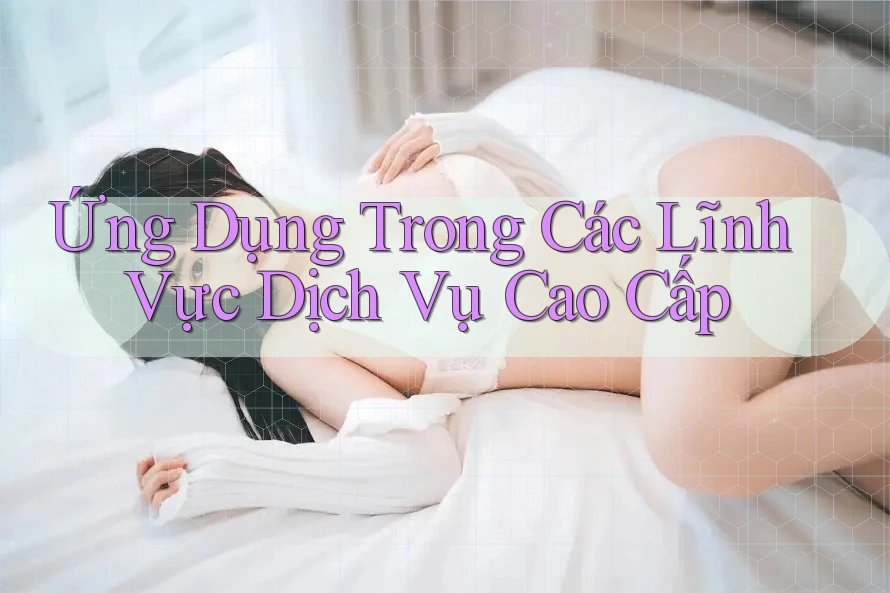 Ứng Dụng Trong Các Lĩnh Vực Dịch Vụ Cao Cấp Ứng Dụng Trong Các Lĩnh Vực Dịch Vụ Cao Cấp