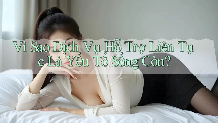 Vì Sao Dịch Vụ Hỗ Trợ Liên Tục Là Yếu Tố Sống Còn? Vì Sao Dịch Vụ Hỗ Trợ Liên Tục Là Yếu Tố Sống Còn?
