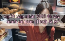 vip79 cập nhật 2025 đã xác minh an toàn flush là gì