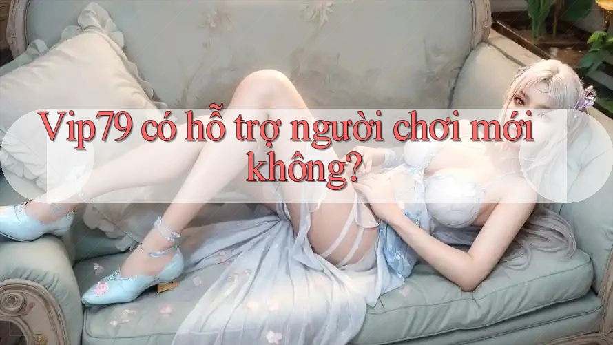 Vip79 có hỗ trợ người chơi mới không? Vip79 có hỗ trợ người chơi mới không?