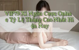vip79  xí ngầu cược online tỷ lệ thắng cao nhất hiện nay